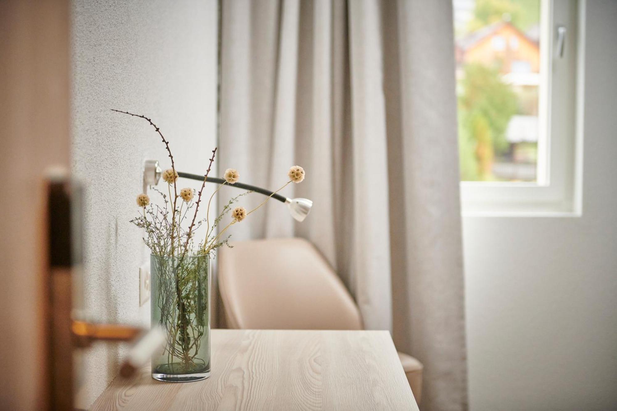 Hotel Balga Natur- Und Bikehotel Balgach Ngoại thất bức ảnh