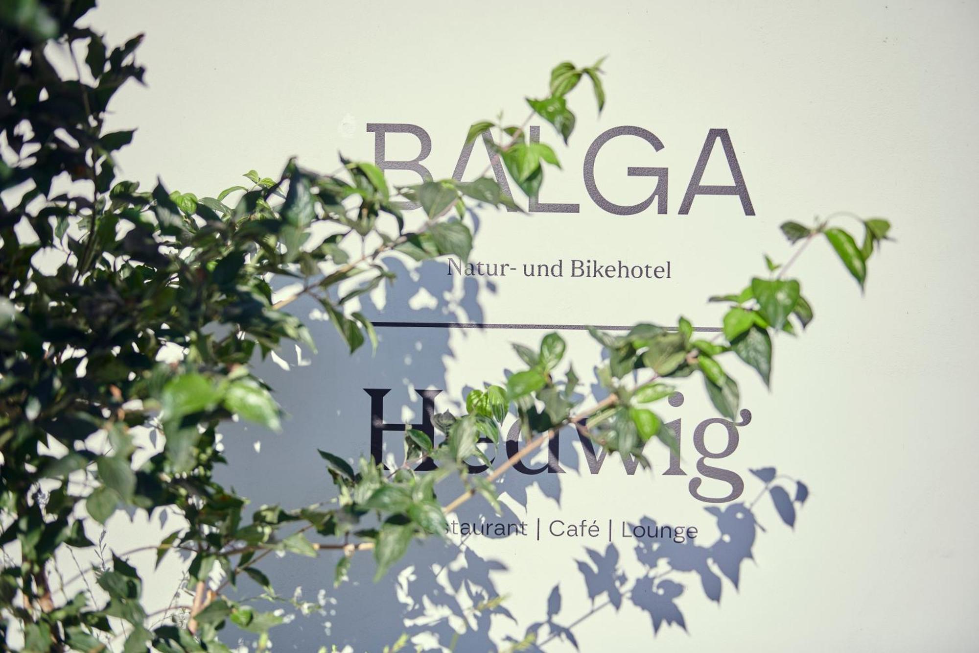 Hotel Balga Natur- Und Bikehotel Balgach Ngoại thất bức ảnh