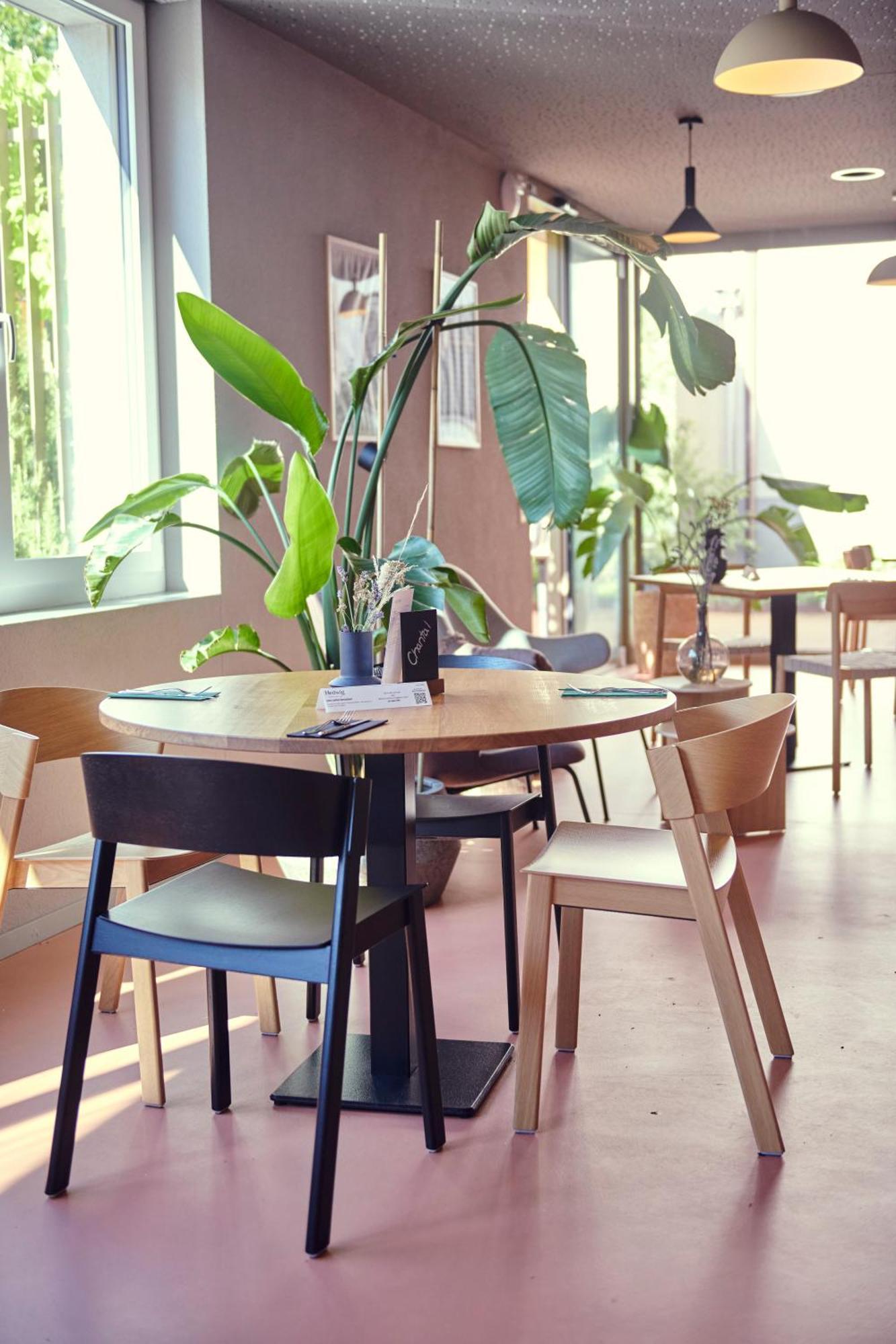 Hotel Balga Natur- Und Bikehotel Balgach Ngoại thất bức ảnh